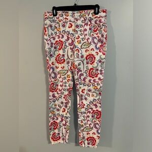 Anthropologie Pilcro & the Letterpress Mid-Rise Skinny Floral Jeans Size 28